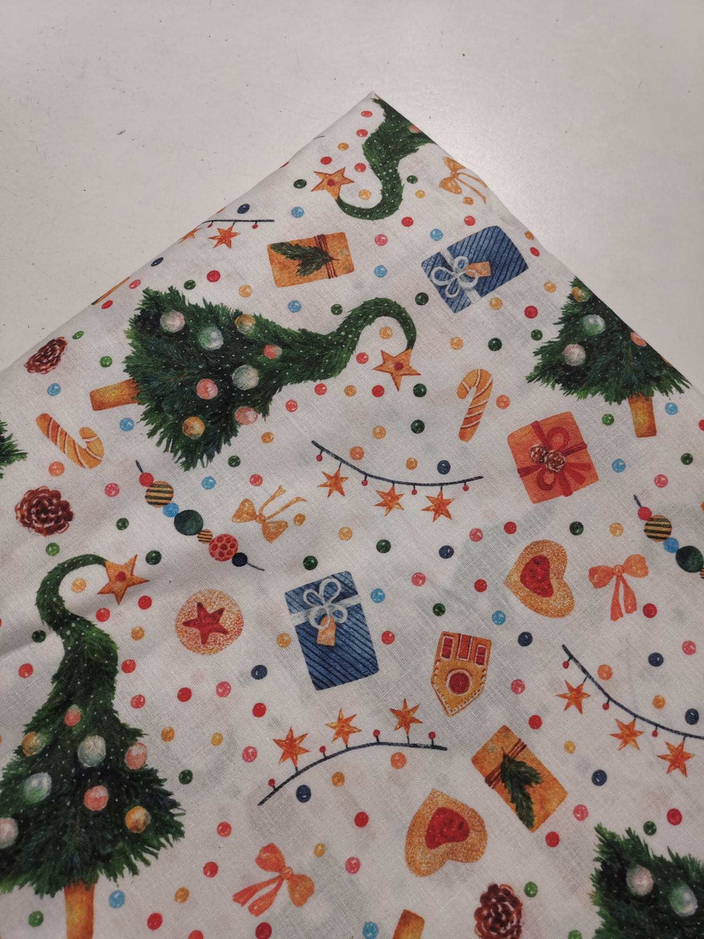 Cotone Natale Alberello