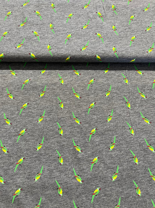 Jersey di cotone fantasia Pappagalli
